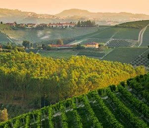 CUCRA Travel Program